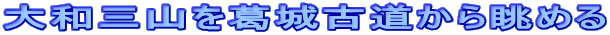 大和三山を葛城古道から眺める