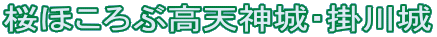 桜ほころぶ高天神城・掛川城 