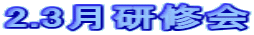 2.3C 